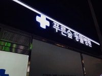 푸른숲동물병원