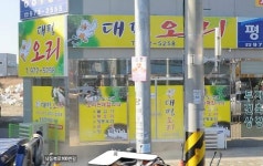 대평오리