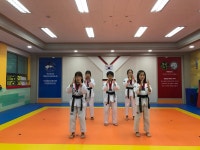 예지용태권도