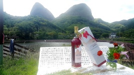 마이산골힐링팜