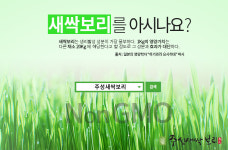 주성새싹보리