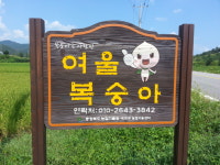 여울복숭아농장