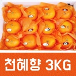 한라봉체험농장 효성농원