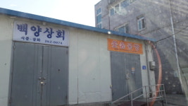 백양상회