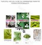 자연과사람들협동조합