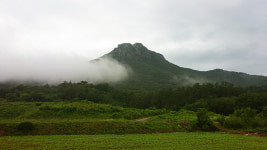 강산애 펜션 & 카페