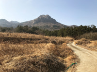 강산애 펜션 & 카페