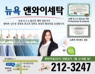 뉴욕앤와이세탁