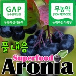 풀내음아로니아농장