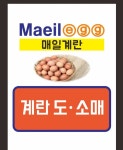 매일계란