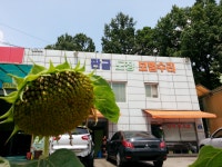 스피드메이트광주오포점