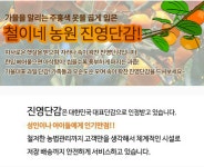 철이네농원 진영단감