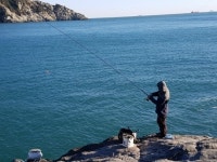 거제도소나무향기낚시펜션