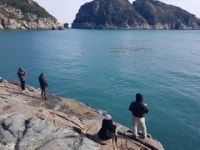 거제도소나무향기낚시펜션