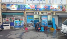전곡 태기셀프수산