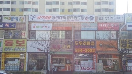 국가대표 용인대 비룡태권도장