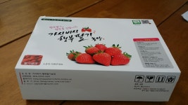 가시버시행복딸기농장