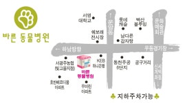 바른동물병원