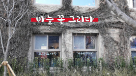 바늘꽃그리다