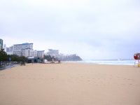 삼척전복해물뚝배기