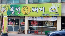 봉정꽃돼지