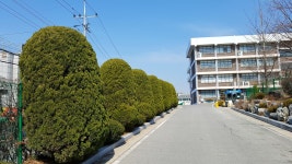 봉정초등학교