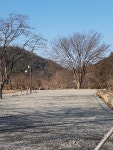 강당골캠핑파크