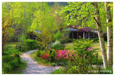 미술관 자작나무숲