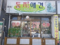 둥지애견