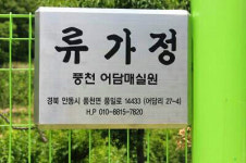 유가정