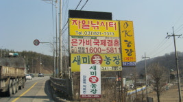 자일낚시터