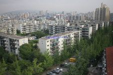 스피드공인중개사사무소
