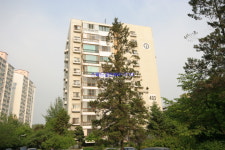 스피드공인중개사사무소