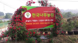 천국나무농원