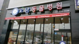 오남동물병원