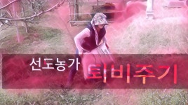 기쁨주는농장