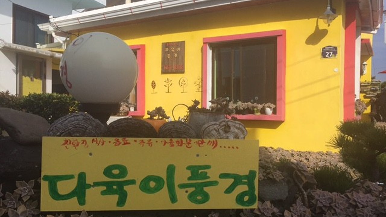 다육이풍경