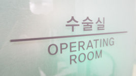 마곡나무동물병원