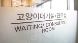 마곡나무동물병원