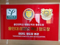 용인대 태권도 혁신 정도장