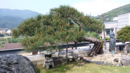 한주조경농원