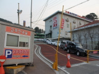 팀모터스