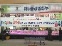 음성진하누