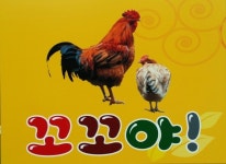 꼬꼬야