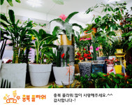 충북꽃플라워