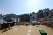 똑도그
