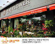 충북꽃플라워