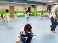 라온동양태권도