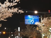 이가네복국 태화점