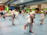 라온동양태권도